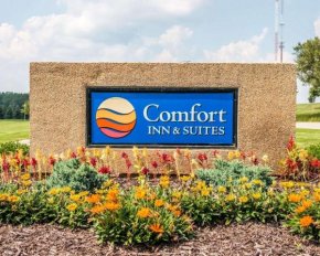  Comfort Inn & Suites and Conference Center  Маунт Плезант